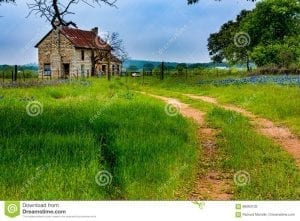 abandoned old 2 story house with dirt drive leading in, and beautiful grass fields, and bluebell flowers