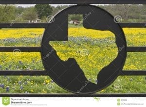 wrought iron fence with the state of Texas emblem. Field of yellow, and bluebonnett flowers